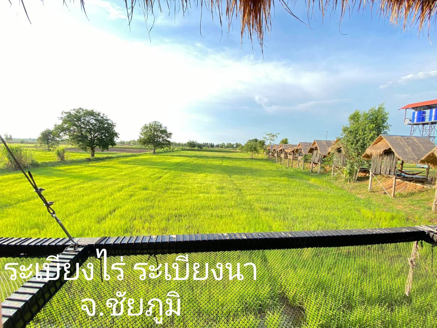 Hammock เปลตาข่ายนั่งเล่น ตาข่ายเช็คอินคาเฟ่ ตาข่ายกันตก