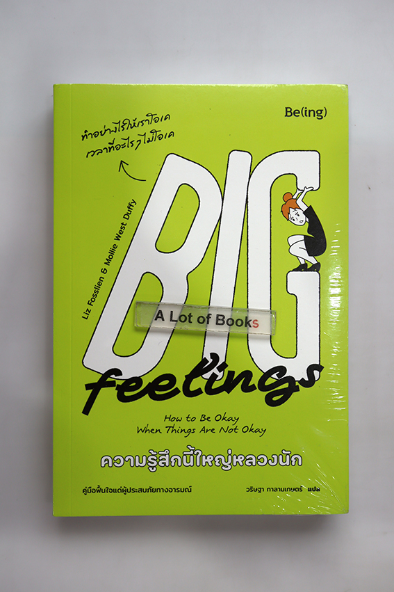 ความรู้สึกนี้ใหญ่หลวงนัก