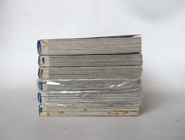 Golosseum (6 เล่มจบ )