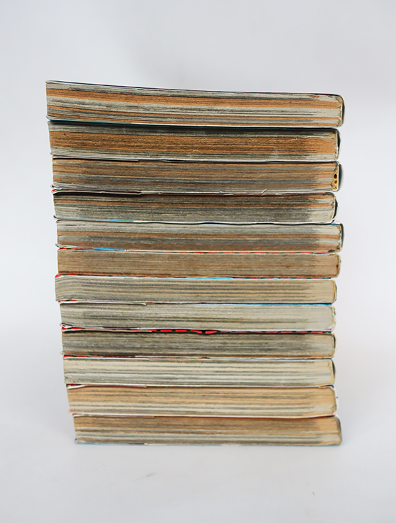 จอมลุยทะเลคลั่ง ( 12 เล่มจบ )