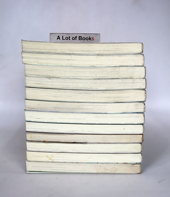 นิยายแจ่มใส เลิฟซีรี่ย์ - บิวบิว