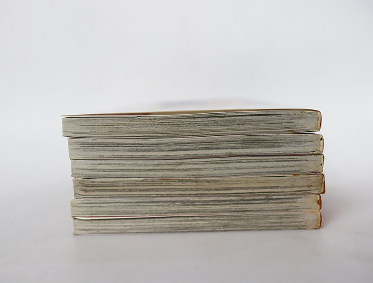 ลิขิตรักสัญญาใจ ( 6 เล่มจบ )