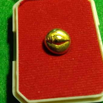 หัวนะโมหรือนอโม รุ่นสังข์ทรัพย์รวยล้นปี63 หน้าพระบรมธาตุนครศรีธรรมราชวัตถุมงคลเมตตามหามงคล