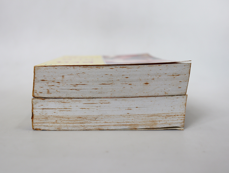 เลื่อมลายหงส์ ( 2 เล่มจบ )