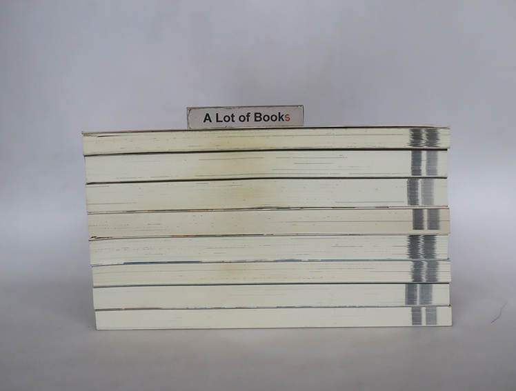 Double Spiral เล่ม 1-8 (ยังไม่จบ )