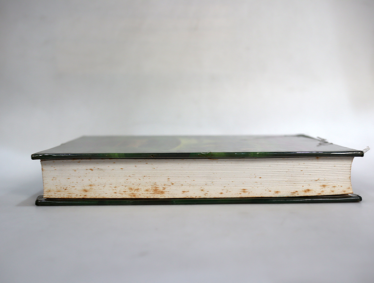 แฮร์รี่พอตเตอร์ กับเจ้าชายเลือดผสม (ปกแข็ง เล่ม 6 )