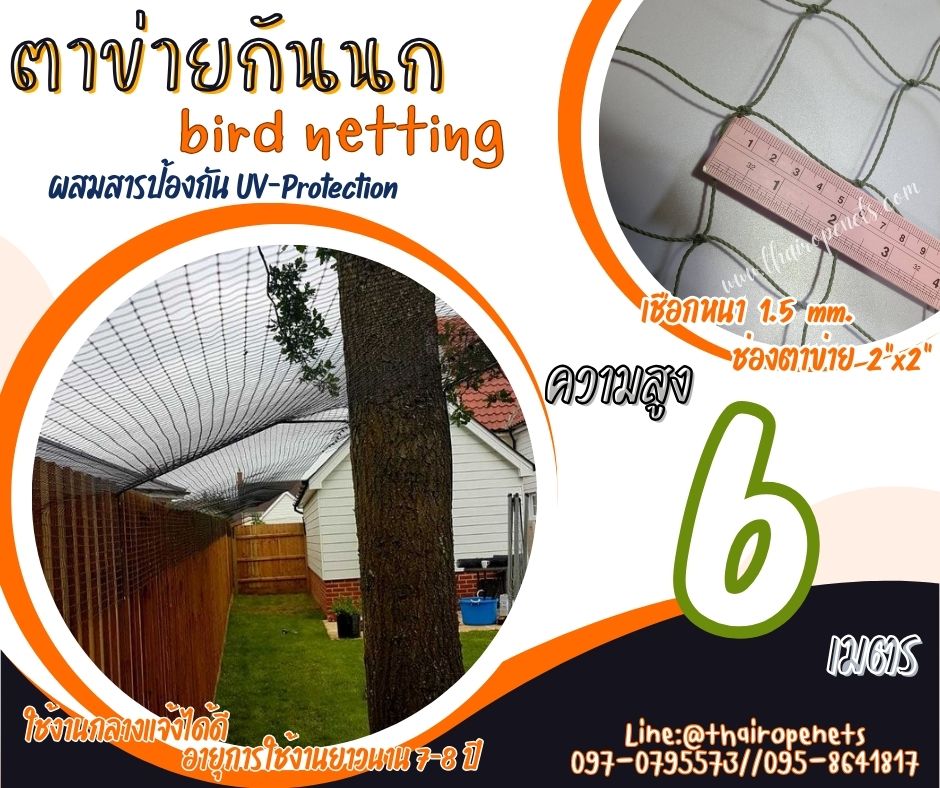 ตาข่ายกันนกพิราบ bird netting สีเขียวขี้ม้า ความสูง 6 เมตร รุ่น 1.5 มิล ช่องตา 2x2 นิ้ว กดเลือกความยาวตามต้องการได้เลย