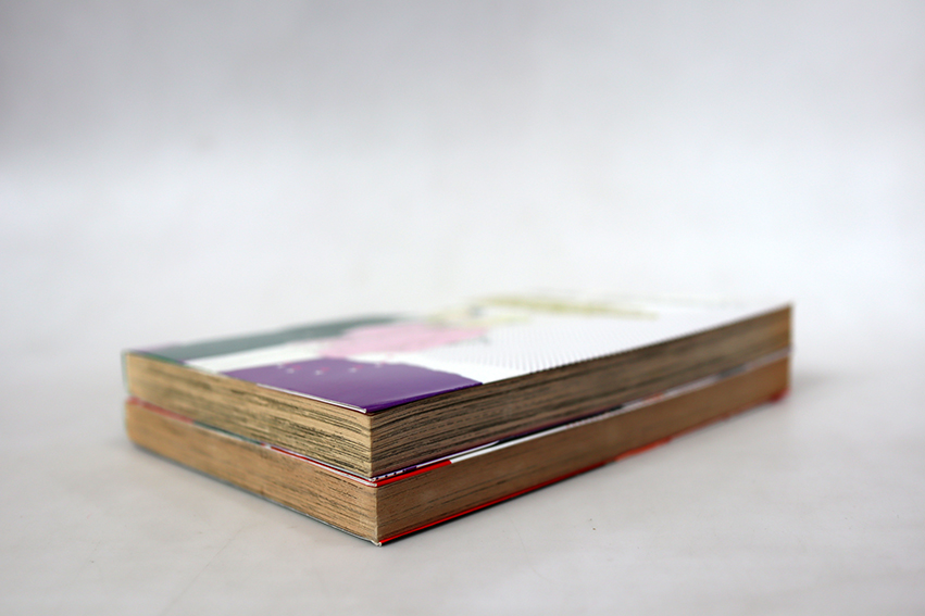 Happy boys แฮปปี้บอยส์ ( 2 เล่มจบ )