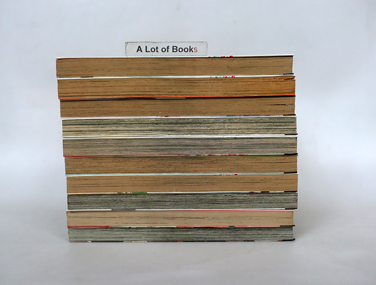 ใต้ปักเทพธิดา ( 10 เล่มจบ)