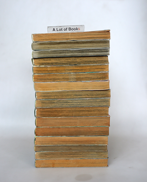 ตำนานหน้ากากมด Masked Riders ( 16 เล่มจบ )