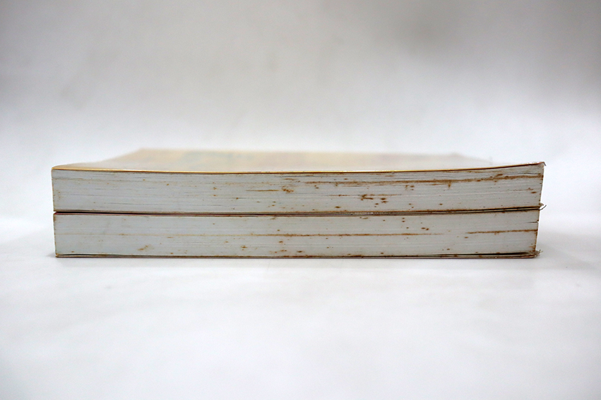 ส้มพอหลวง ( 2 เล่มจบ )