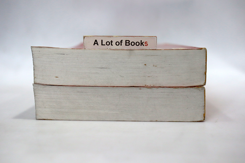 มรสุมโลหิต ( 2 เล่มจบ )