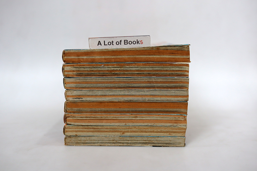 โทงาริ อสูรล่าวิญญาณ ( 8 เล่มจบ )