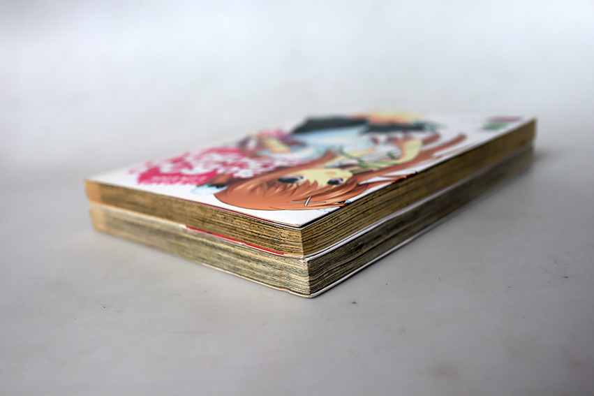 สับรางสลับรัก (2 เล่มจบ )