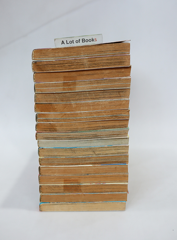 AI Revolution( 17 เล่มจบ )