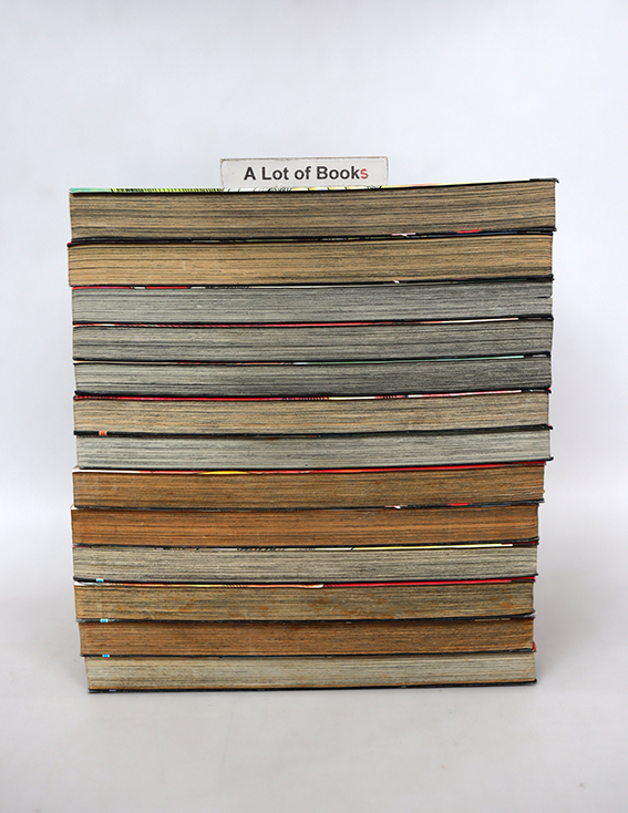 จอมหมัดเจ้าสังเวียน ( 13 เล่มจบ )