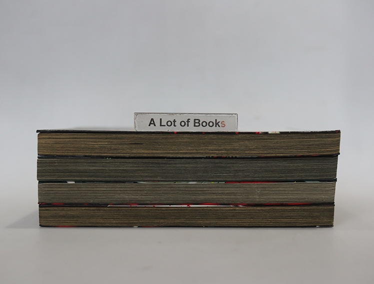 ปิดเมืองล่า ฆ่าล้างเมือง ( 4 เล่มจบ )