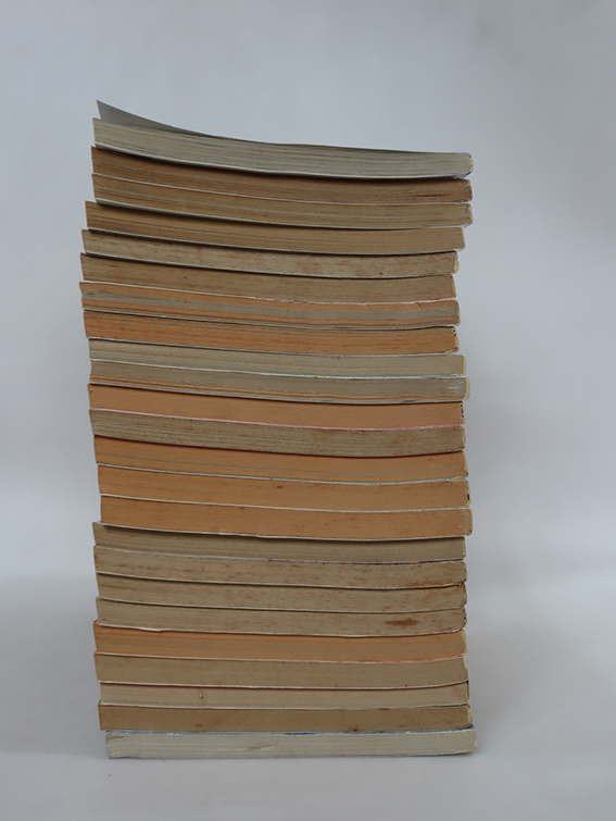 โดเรมอน ชุดพิเศษ ( 24 เล่มจบ )