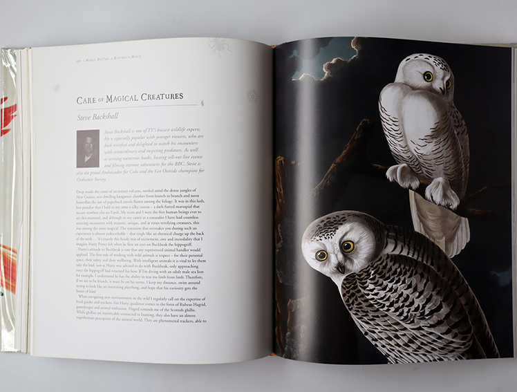 Harry Potter A Histery of Magic