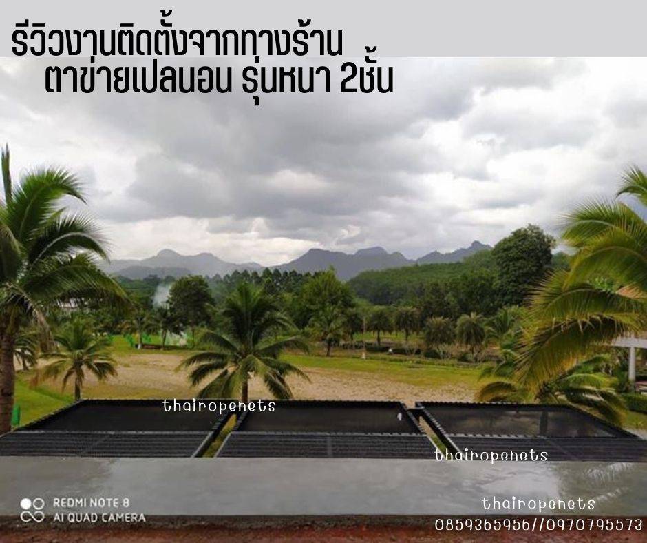 รีวิวตาข่ายเปลนอน ไร้ปม ตาข่ายเปลนอนตามร้านอาหาร คาเฟ่ ตาข่ายนั่งเล่นตามร้านกาแฟ