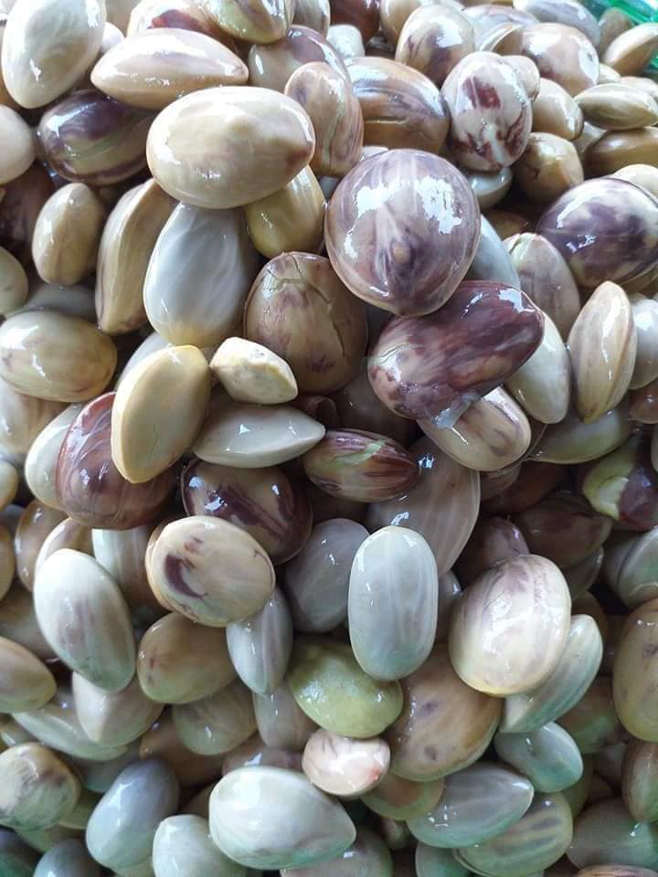 สะตอดอง