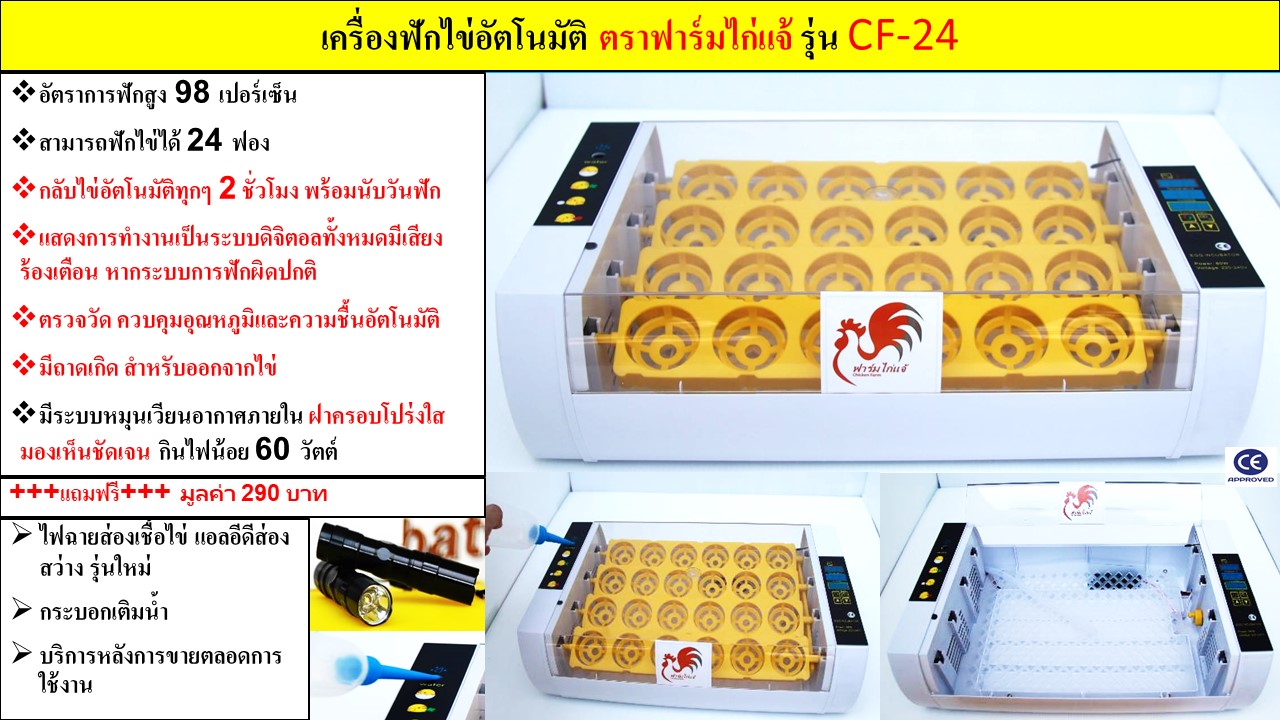 เครื่องฟักไข่ 24 ฟอง รุ่น CF-24 อัตโนมัติ