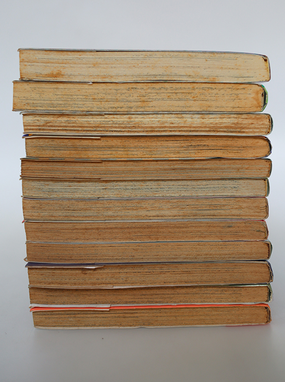 คิ้วหนาซ่าสุด ๆ ( 12 เล่มจบ )