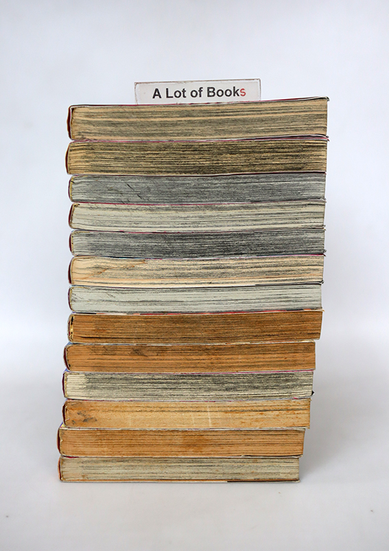 จอมหมัดเจ้าสังเวียน ( 13 เล่มจบ )