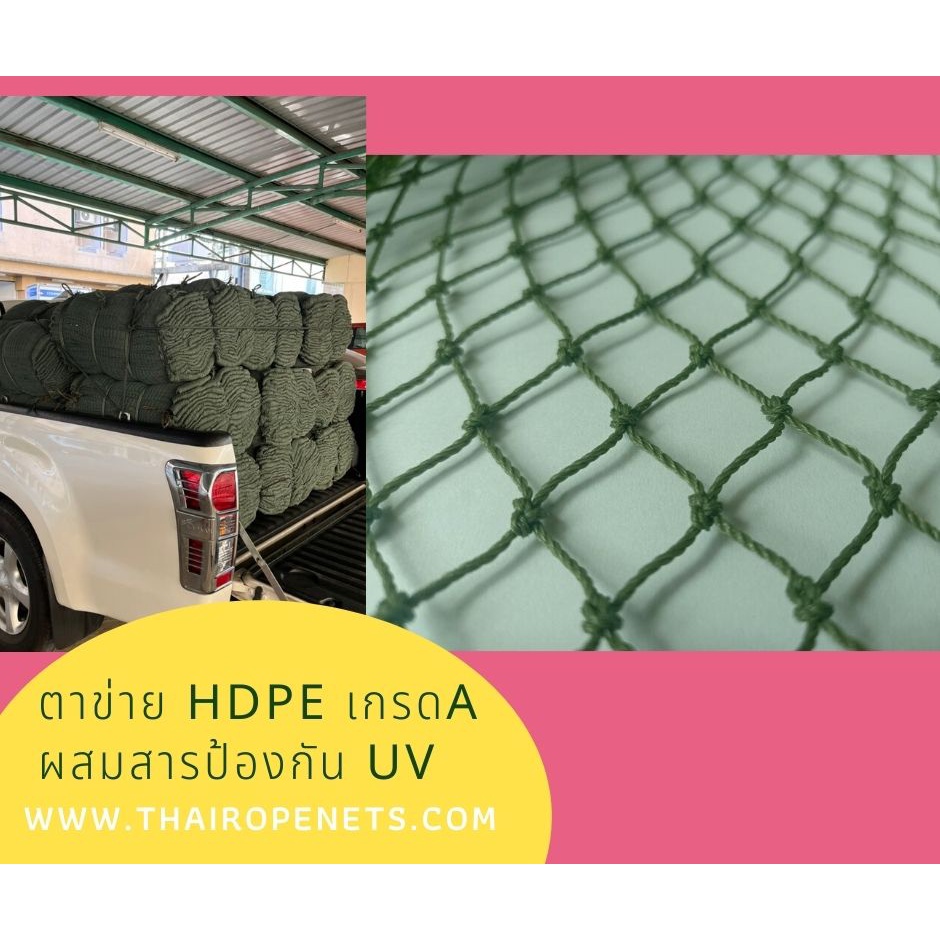 ตาข่ายกันนก สีเขียวขี้ม้า ขนาดเชือก 1.5 มิล ช่องตา 1.8x1.8 CM. ขนาดผืนใหญ่ 8 x 20 เมตร (ยกม้วน)