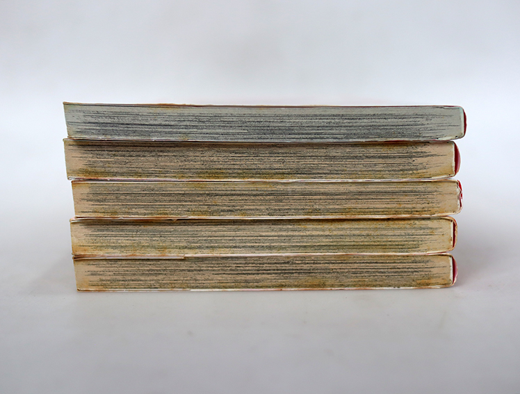 รวมก๊วนพี่น้องจอมป่วน ( 5 เล่มจบ )