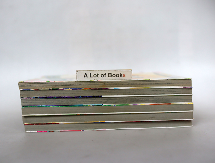 B-Wanted มายารัก มายากล ( 6เล่มจบ )