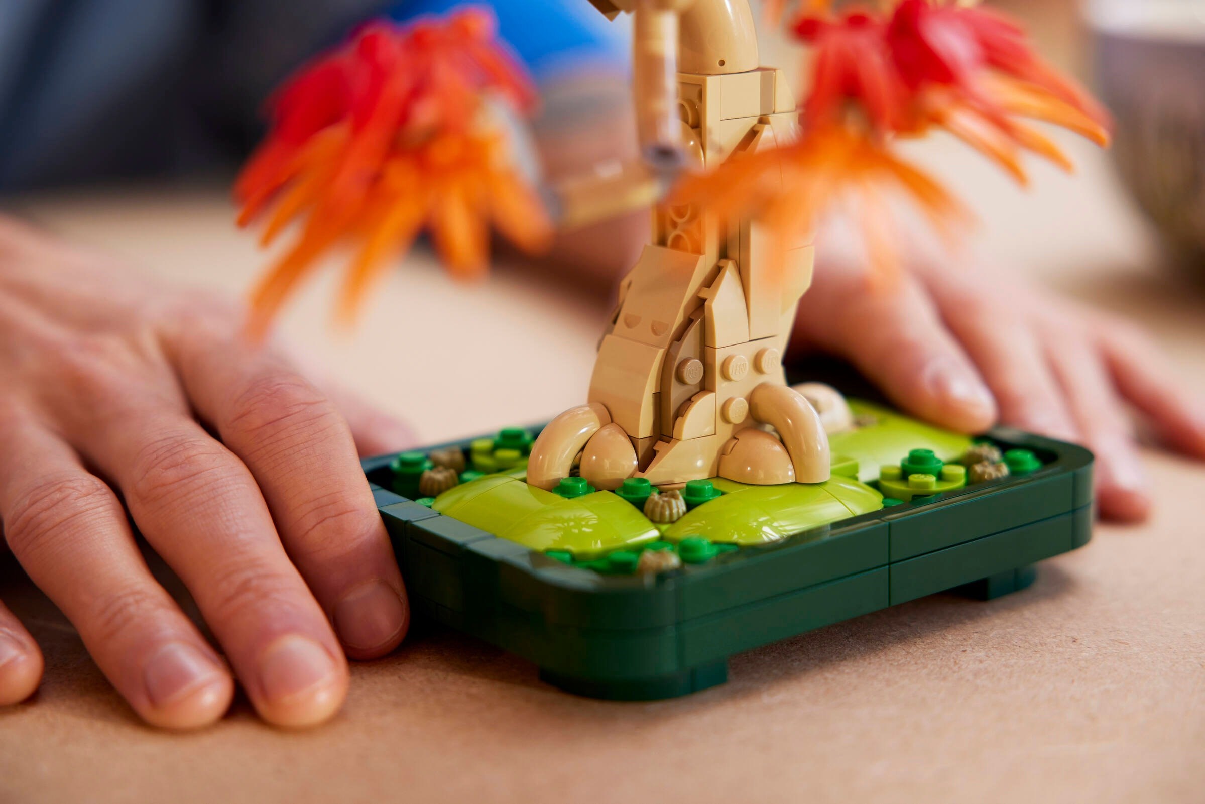 LEGO Botanical เลโก้ 10348 Japanese Maple Tree