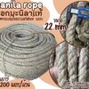 เชือกตั้งแคมป์ เชือกขนาด 22 มิล ยาว 200 เมตร เชือกมะนิลาแท้ 100% Manila rope เชือกชักกะเย่อ เชือกใช้ถักตกแต่งคาเฟ่ พร้อมส่ง