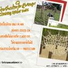 spider net ตาข่ายเชือกใยยักษ์ถักใยแมงมุม ตาข่ายปีนป่ายฐานกิจกรรมลูกเสือ Adventure สนามเด็กเล่น Playground Chrilden