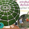 ตาข่ายสนามเด็กเล่น ตาข่ายแมงมุม ตาข่ายปีนป่าย ตกแต่งด้วยตาข่ายแมงมุม
