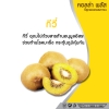 มหัศจรรย์ผลไม้สีทอง (กีวี)