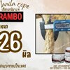 เชือกแบ่งขาย เชือกมะนิลาแท้ 100% ตรา RAMBO ขนาด 26 มิล เชือกลากไม้ใหญ่ เชือกชักกะเย่อ เชือกใช้ถักตกแต่งคาเฟ่ พร้อมส่ง