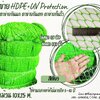 ตาข่ายอวนล้อมเขต สีเขียว เชือกหนา 1.5 มิลช่องตา 1x1 นิ้ว ตาข่าย HDPE เคลือบสารป้องกัน UV ขนาดยกม้วน 10x25 เมตร