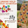 หินปีนหน้าผา พลาสติกปีนผา climbing hold อุปกรณ์ปีนผาสำหรับติดไม้ พร้อมน็อตสำหรับติดตั้งในชุด