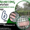 bird netting ตาข่ายกันนกเข้าสวนผลไม้ ความสูง 6 เมตร รุ่นหนา 1.5 มิล ช่องตา 1.5x1.5 cm. สีเขียวขี้ม้า กดเลือกความยาวตามต้องการได้เลยค่ะ