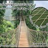 ตาข่ายกั้นราวสะพาน Safetynet ตกแต่งราวสะพานบ้านและสวน งานเชือกใยยักษ์ถักทอไร้ปม พร้อมเชือกมัดอย่างดี