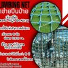 ตาข่ายปีนป่าย Adventure เชือกใยยักษ์สีฟ้า ขนาด 16 mm.ช่องตา 20 x 20 cm. มีใบ Certificate ทดสอบแรงดึง เชือกพรีเมี่ยมสั่งทำพิเศษ เกรดส่งออก