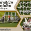 ตาข่ายปีนป่ายค่ายลูกเสือ climbing net เชือกใยยักษ์หนา 20 มิล ช่องตา 15x15 cm. พร้อมเชือกมัดอย่างดี