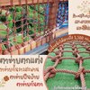 ตาข่ายปีนป่าย ตาข่ายกันตก เชือกPE ใยเหนียวสีน้ำตาล ตาข่ายเชือกกั้นราวสะพาน ตาข่ายกันตกสวนสนุกเด็ก แถมเชือกมัดพร้อมใช้งาน