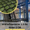 ตาข่ายกันตก 2.5มิล ตา 2x2cm. สีดำ มีขนาดให้เลือก .Safetynet HDPE กันคนตก พร้อมร้อยเชือกขอบ กันเศษวัสดุจากงานก่อสร้าง ตาข่ายพร้อมใช้งาน พร้อมส่ง