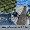 ตาข่ายกันตก Safetynet 2.5มิล ตา1.5x1.5 cm. สีดำ มีขนาดให้เลือก . HDPE กันคนตก พร้อมร้อยเชือกขอบ กันเศษวัสดุจากงานก่อสร้าง ตาข่ายพร้อมใช้งาน พร้อมส่ง