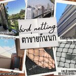 ตาข่ายกันนกเข้าแปลงผัก เข้าสวน bird netting สีดำ เชือกหนา 1.3 มิล ช่องตา1x1 นิ้ว ตาข่ายกันนกเข้าในตึก ในอาคาร ทำตามขนาดที่ต้องการ