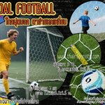 โกลฟุตบอล 7 คน Goal football โกลฟุตบอล ช่องตาข่ายหกเหลี่ยม สีขาว เชือกหนา 3 มิล ช่องตา 4x4 นิ้ว ร้อยเชือกขอบพร้อมใช้งาน ไม่รวมโครง