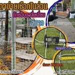 ตาข่ายเชือกไนล่อนถัก สีขาว ช่องตาสีเหลี่ยม เชือกหนา 3 มิล ช่องตา 10x10 cm.รับทำตามขนาดที่ต้องการ