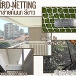 ตาข่ายกันนก bird netting ตาข่ายสีขาว เชือกหนา 2 มิล ช่องตา 2x2 cm. ผสมสารป้องกัน UV ทนทาน ใช้งานได้ยาวนาน รับทำตามขนาดที่ต้องการ